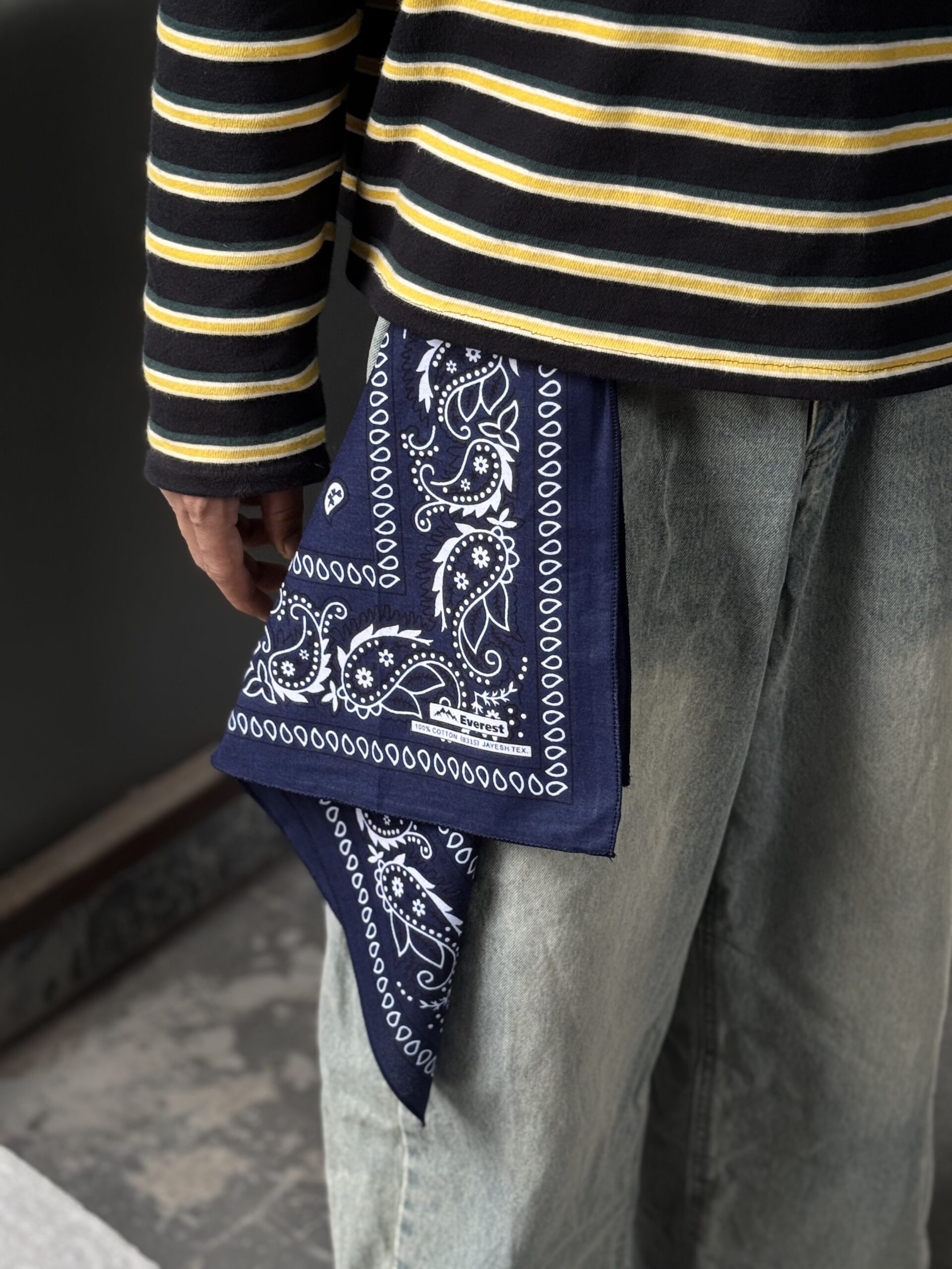 Blue paisely bandana