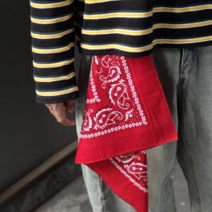 Paisely red bandana