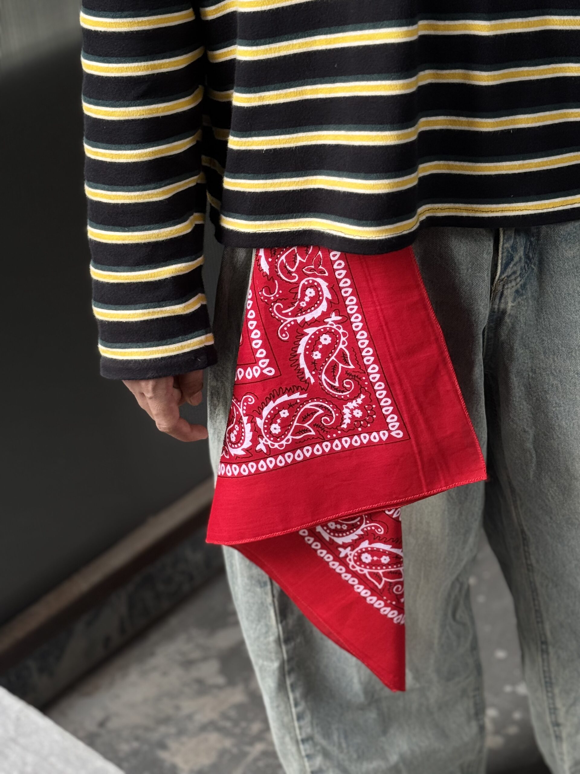 Paisely red bandana